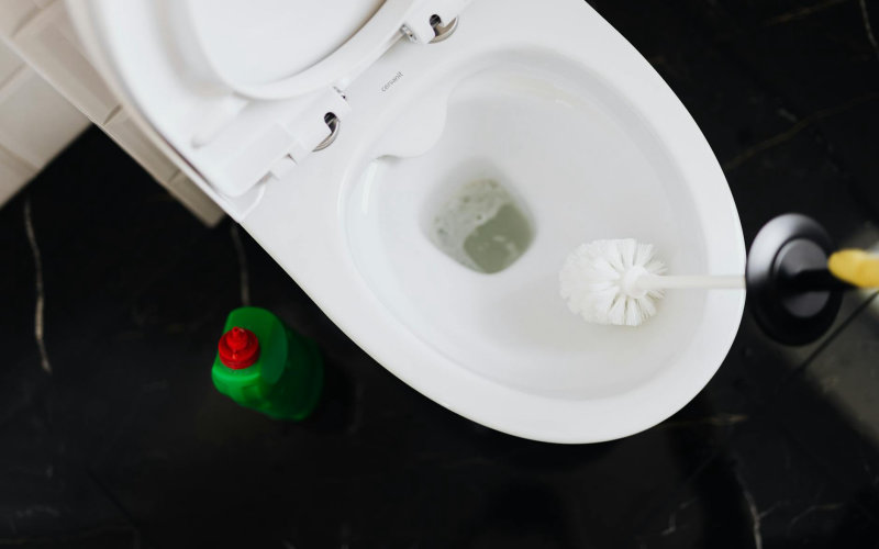 The Complete Guide to Choosing the Right Toilet Brush and Holder for Every Bathroom Style and Budget